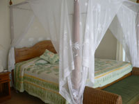 Kamar di Coconut Beach Resort Nusa Lembongan Bali