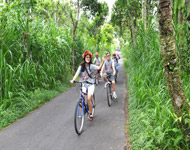 ubud cycling
