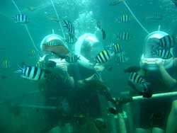 bali ocean walker