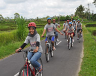 bali ubud cycling