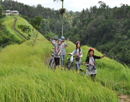 ubud bali cycling