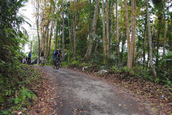 batukaru cycling bali