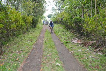 batukaru cycling bali