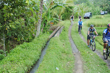 batukaru cycling bali