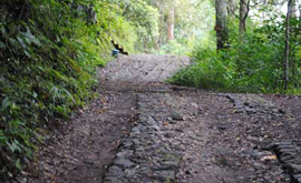 bedugul cycling trek
