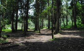 bedugul cycling bali