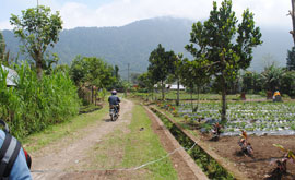 bedugul cycling trek bali