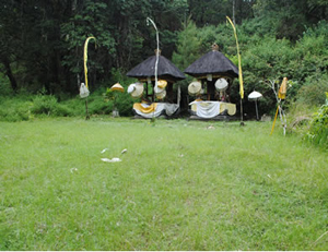 bedugul trekking