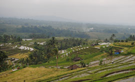 jatiluwih cycling bali
