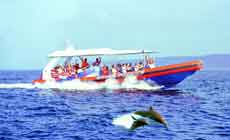 Ocean Rafting - Bali Hai Cruises
