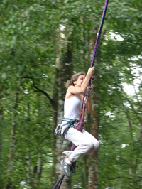 bali treetop