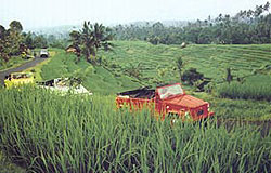 vw east bali
