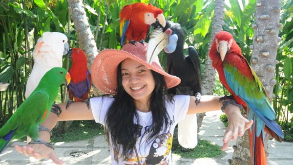 bali bird park