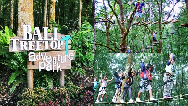 paket-outing-treetop-bedugul